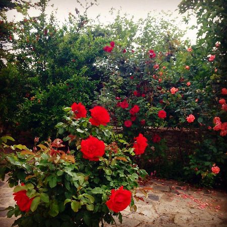 La Casa Rossa 호텔 프리노스 외부 사진