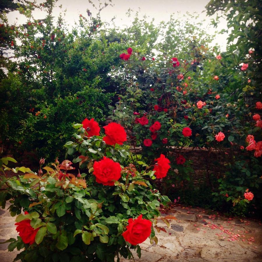 La Casa Rossa 호텔 프리노스 외부 사진